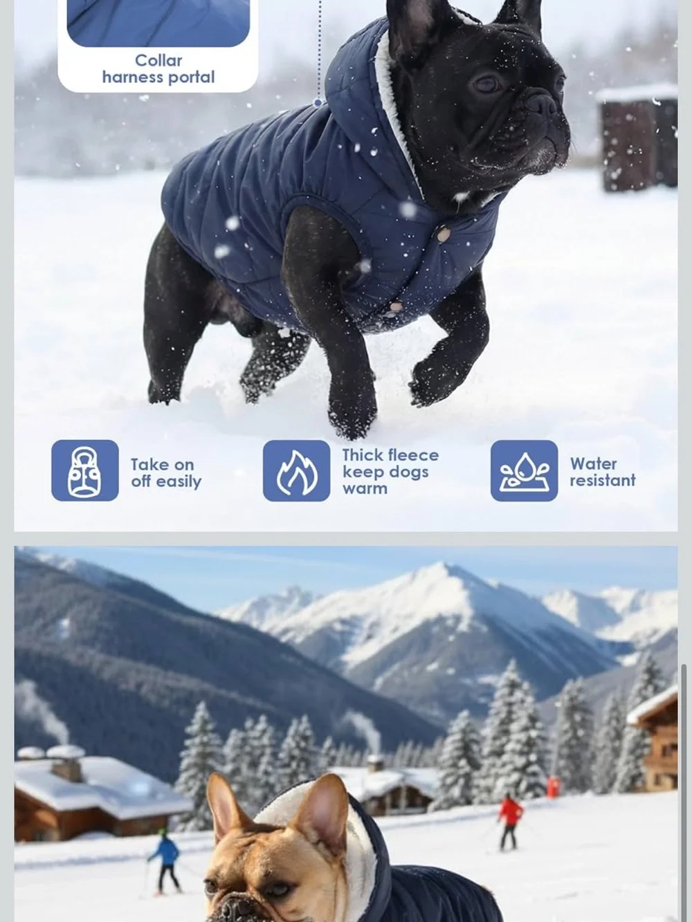 Navy Fleece-Lined Waterproof Dog Coat with Hood C28
